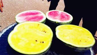 林州市最新吃瓜爆料,揭秘背后惊人真相